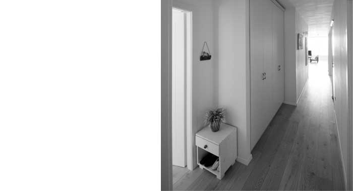 nivo slider image